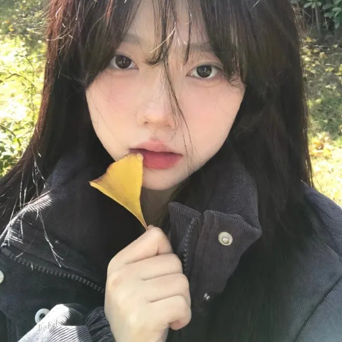蜘蛛与郁金香